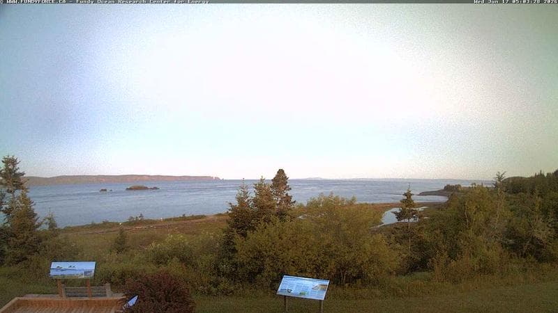 Fundy FORCE