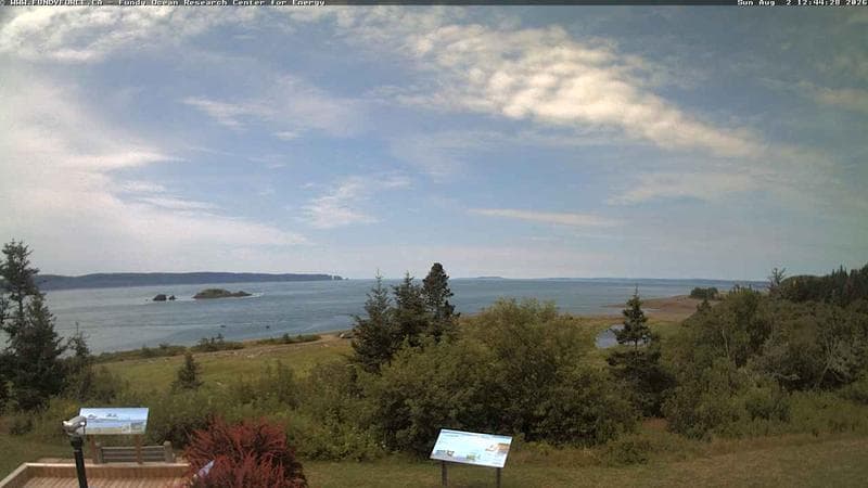 Fundy FORCE