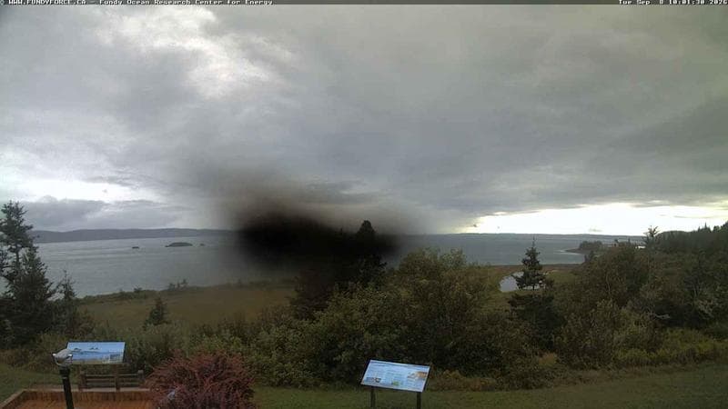 Fundy FORCE