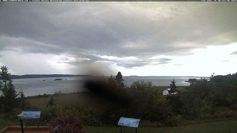 Fundy FORCE