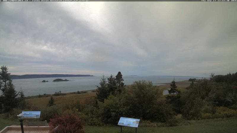 Fundy FORCE