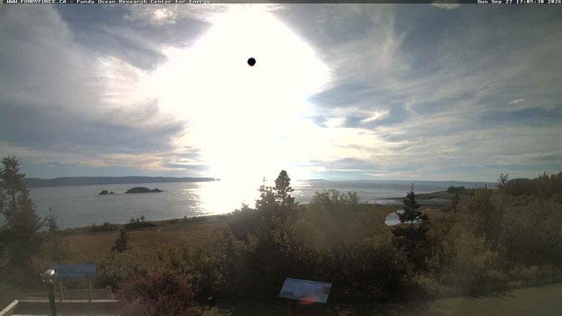 Fundy FORCE