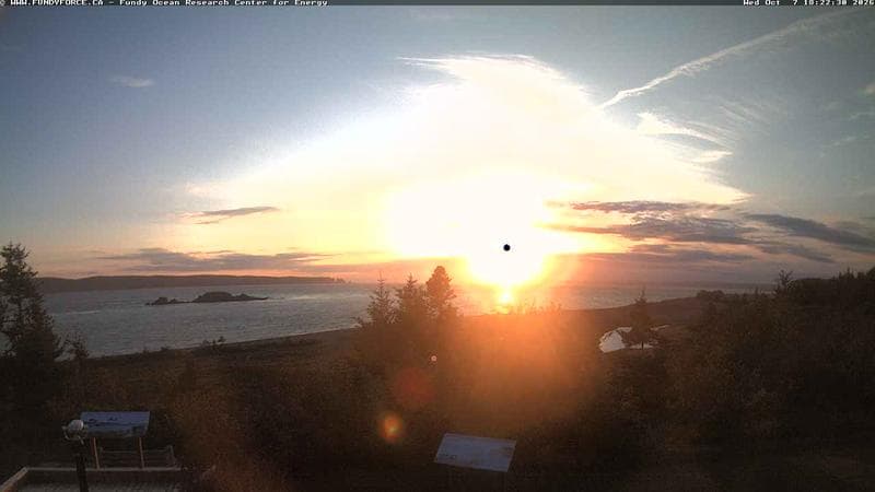 Fundy FORCE