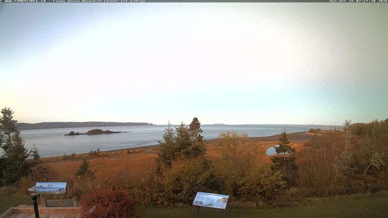 Fundy FORCE
