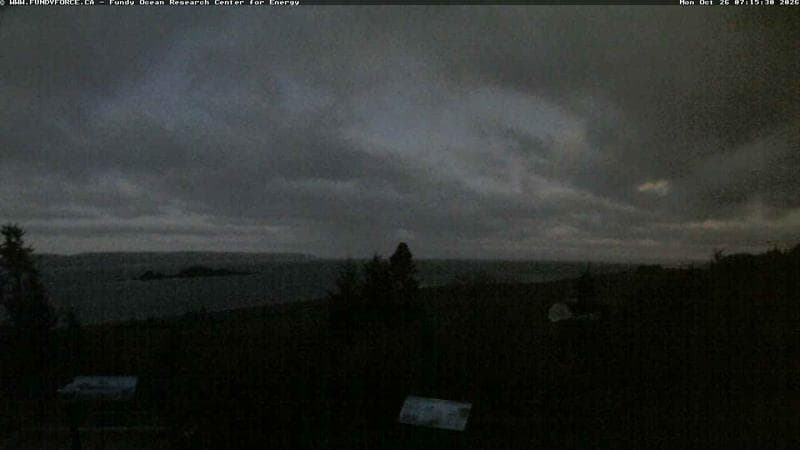 Fundy FORCE