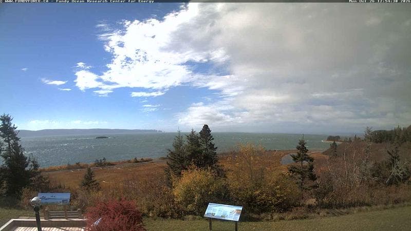 Fundy FORCE