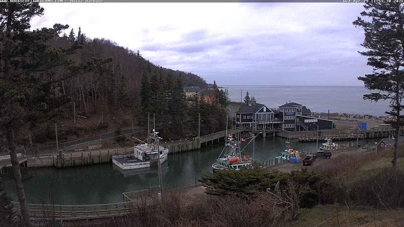 Hall's Harbour
