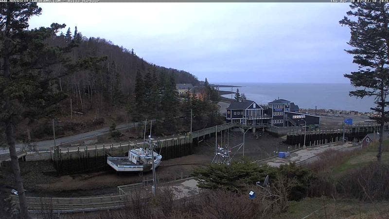 Hall's Harbour