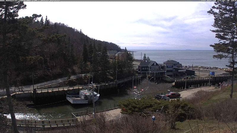 Hall's Harbour