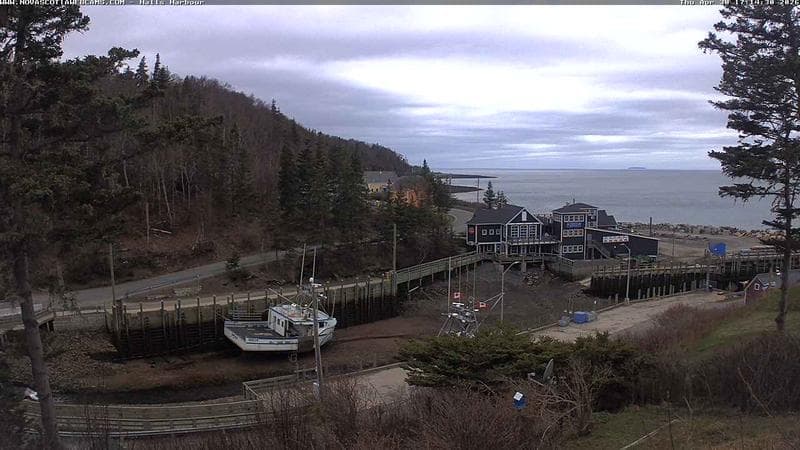 Hall's Harbour