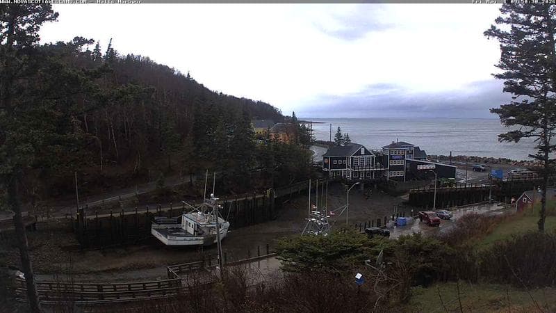 Hall's Harbour