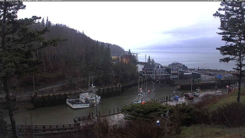 Hall's Harbour