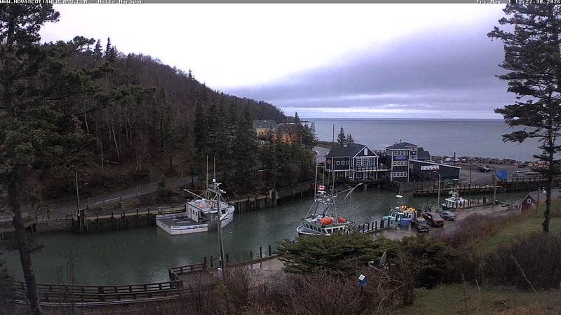 Hall's Harbour