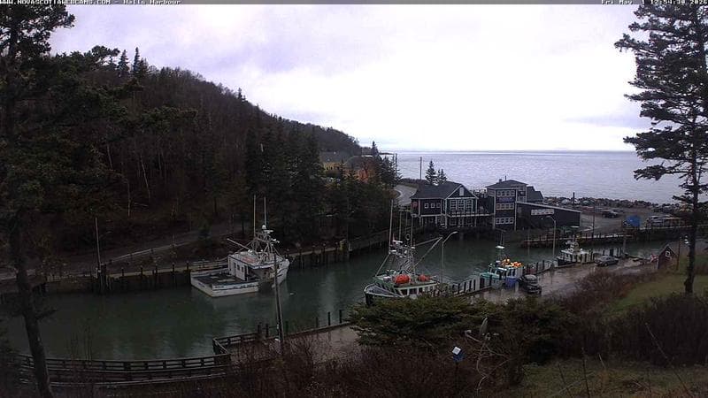 Hall's Harbour