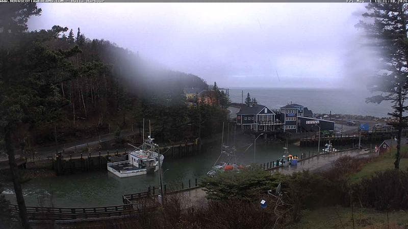 Hall's Harbour