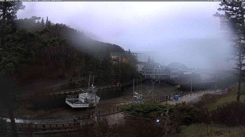 Hall's Harbour