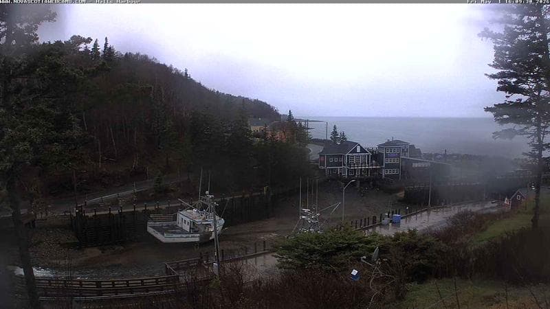Hall's Harbour