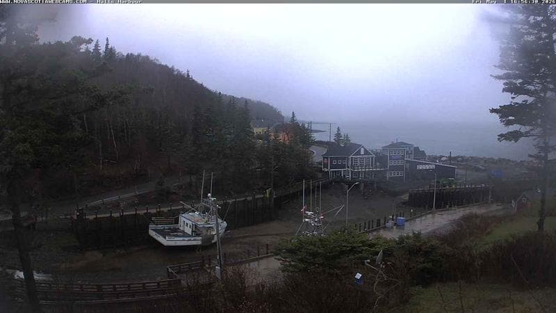 Hall's Harbour