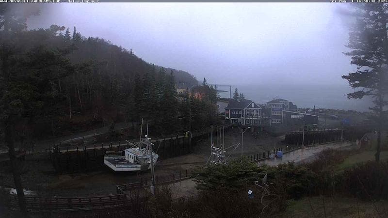 Hall's Harbour