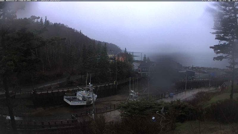 Hall's Harbour