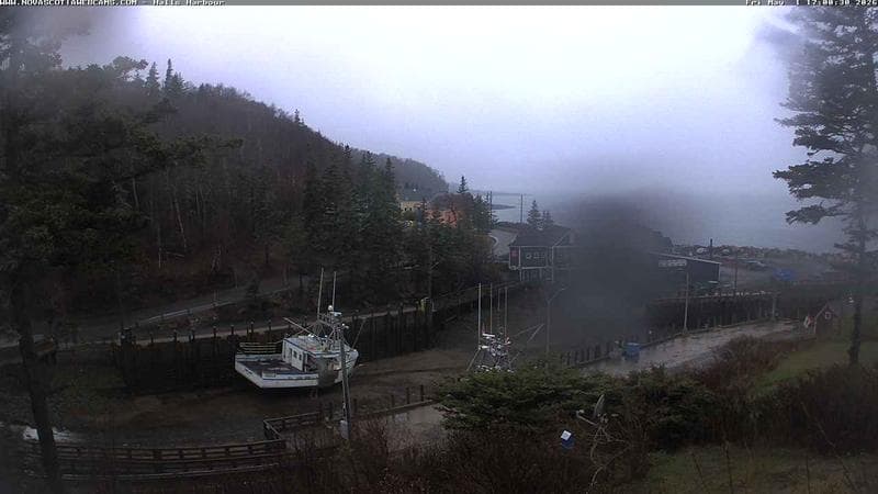 Hall's Harbour