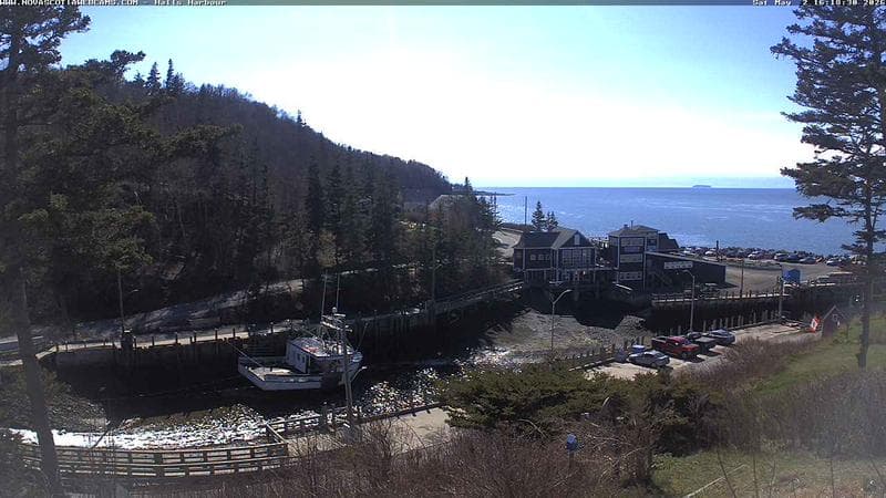 Hall's Harbour