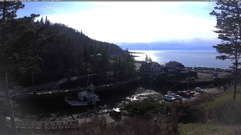 Hall's Harbour