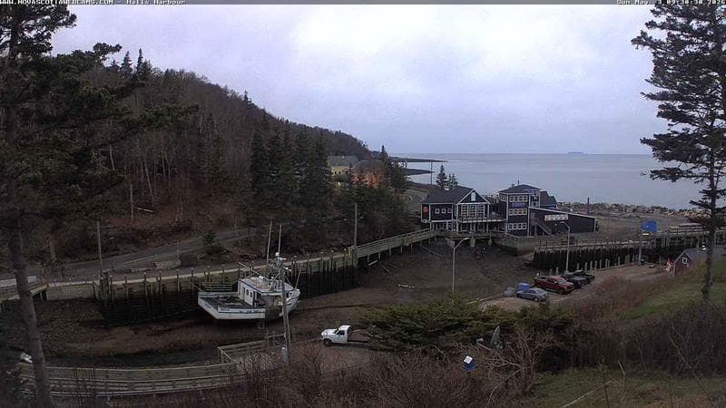 Hall's Harbour