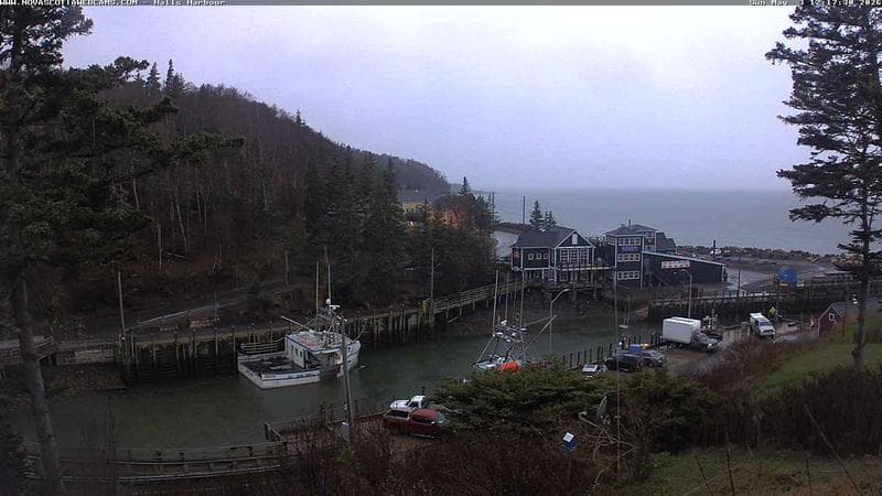 Hall's Harbour