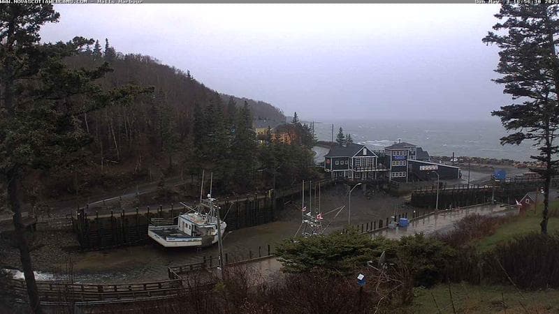 Hall's Harbour