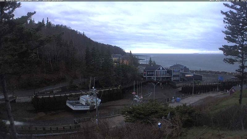 Hall's Harbour