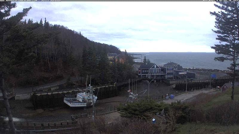 Hall's Harbour