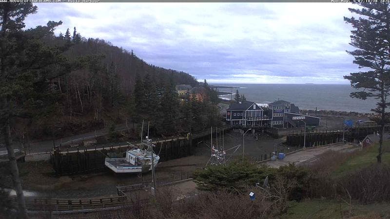 Hall's Harbour