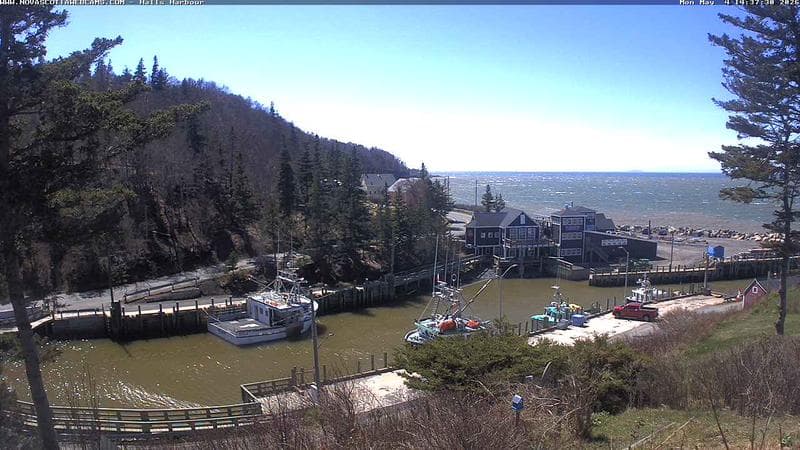 Hall's Harbour