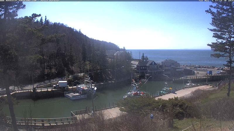 Hall's Harbour