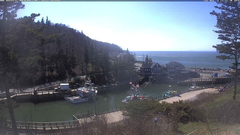 Hall's Harbour