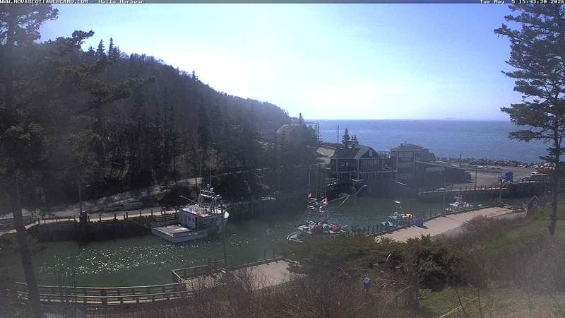 Hall's Harbour