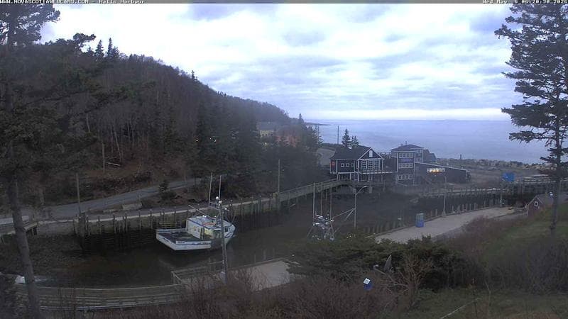 Hall's Harbour