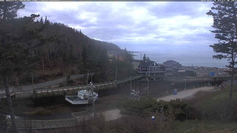 Hall's Harbour