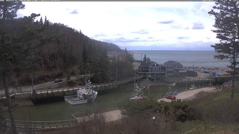 Hall's Harbour