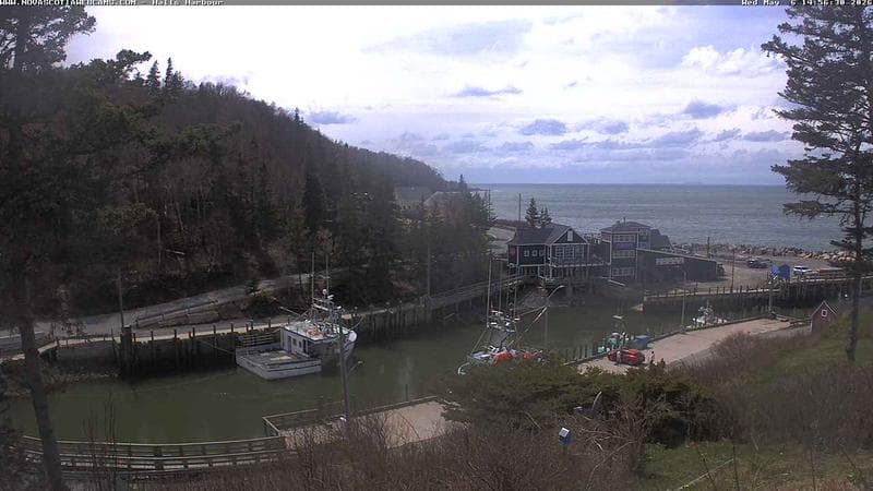 Hall's Harbour
