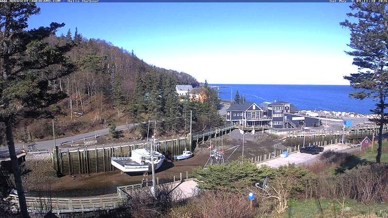 Hall's Harbour