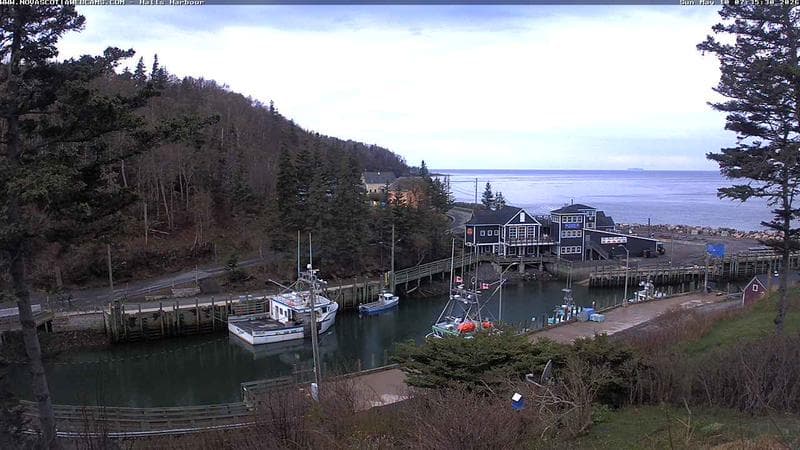 Hall's Harbour
