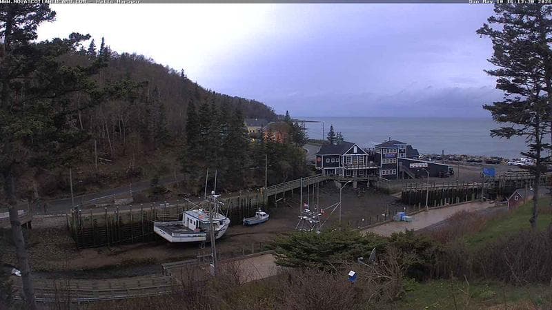 Hall's Harbour