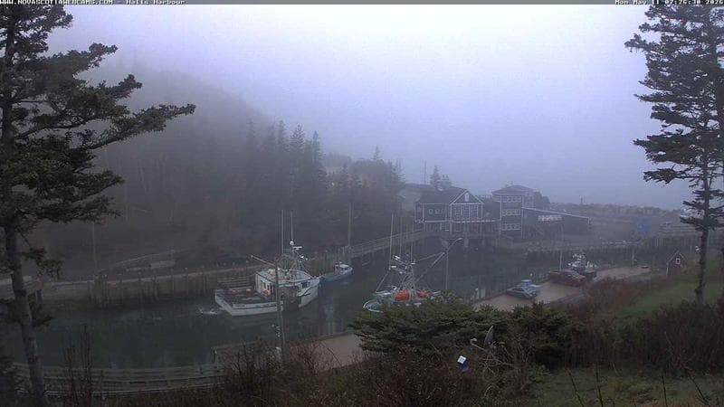 Hall's Harbour