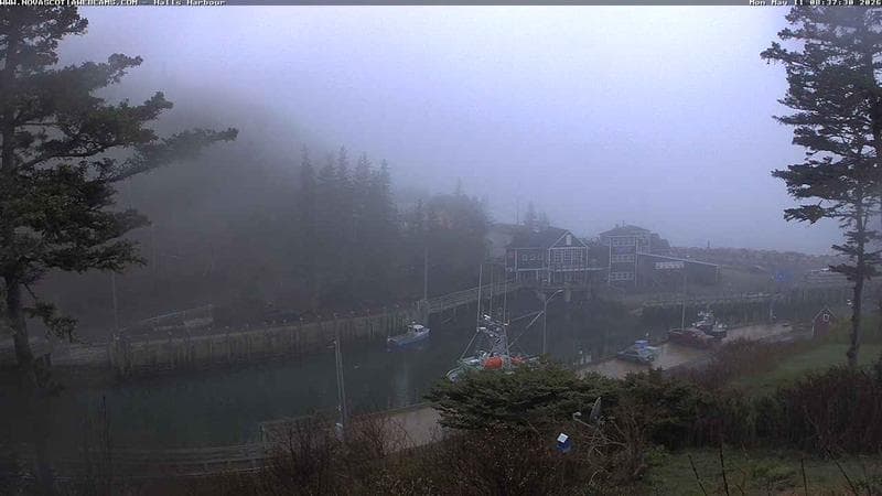 Hall's Harbour