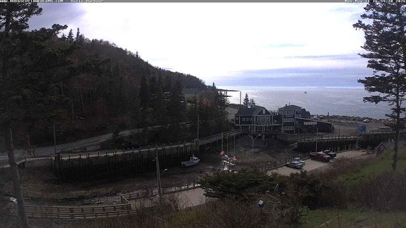 Hall's Harbour