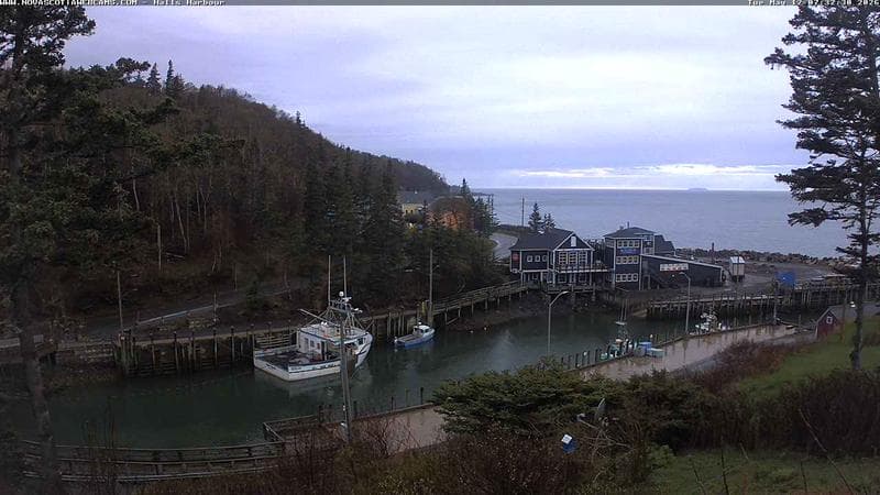 Hall's Harbour