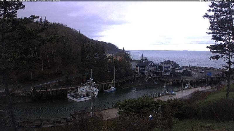 Hall's Harbour