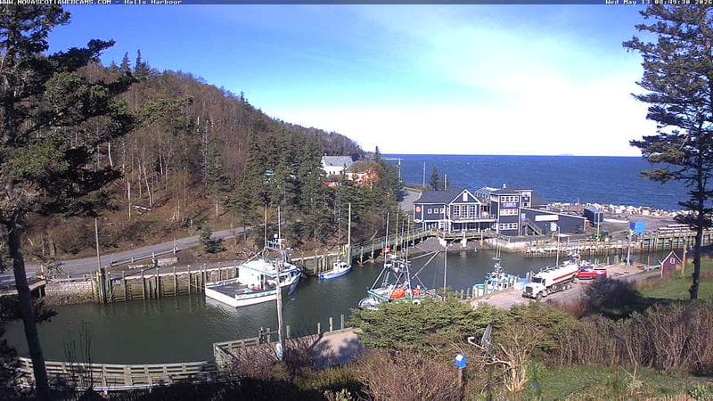 Hall's Harbour